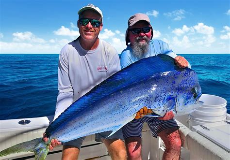 Sunday Sea Fishing: A Relaxing Hobby with Delicious Rewards